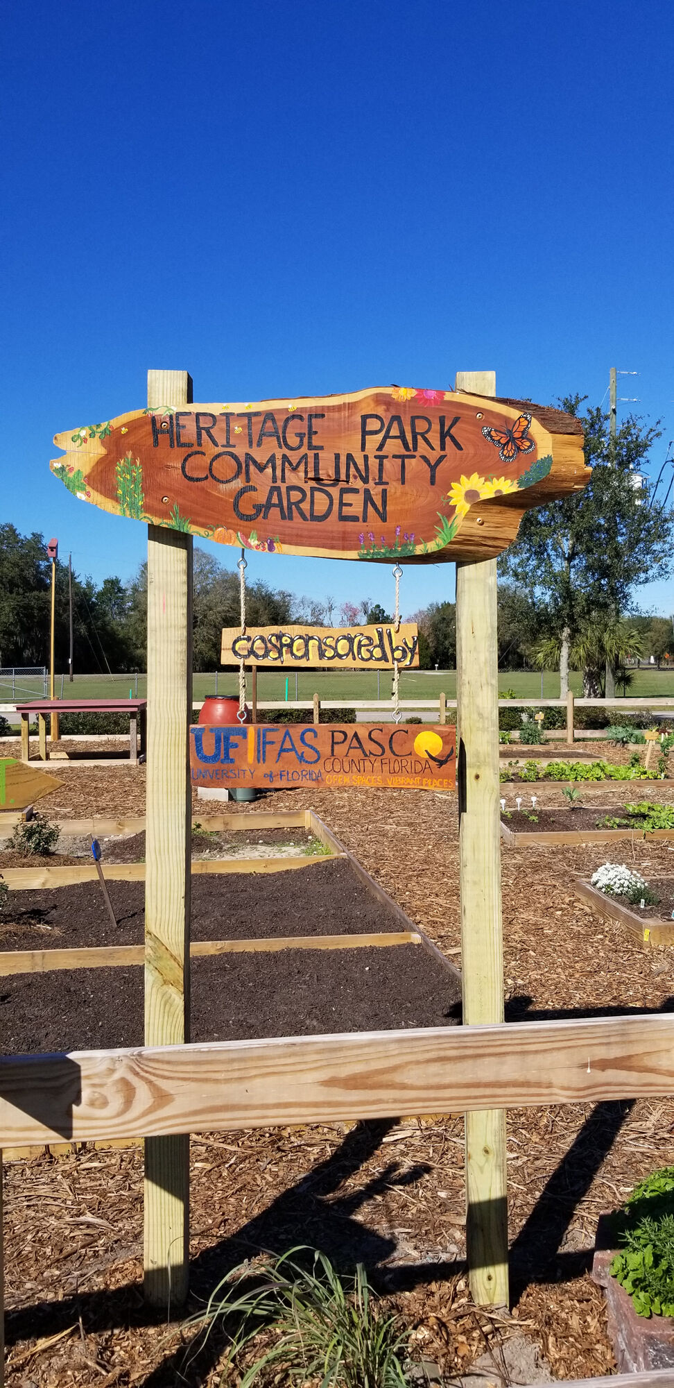 PA-Garden1-091620.jpg